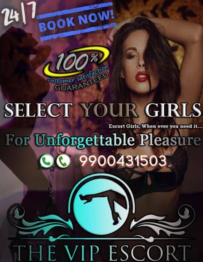  Escorts